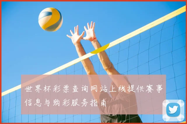 世界杯彩票查询网站上线提供赛事信息与购彩服务指南