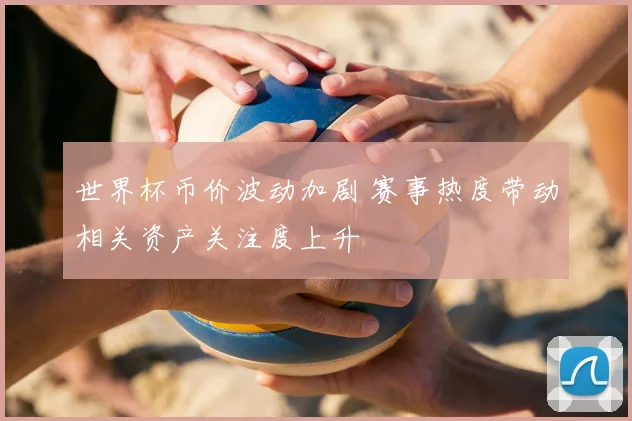 世界杯币价波动加剧 赛事热度带动相关资产关注度上升