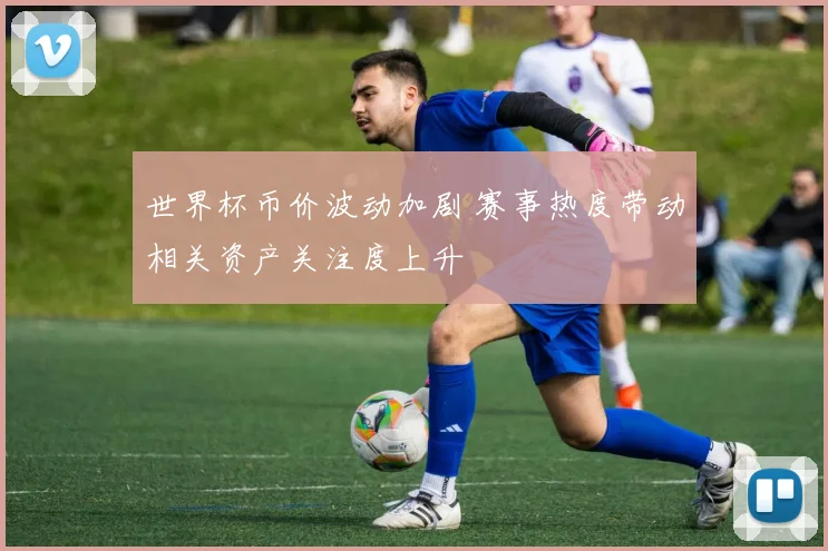 世界杯币价波动加剧 赛事热度带动相关资产关注度上升