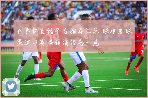 世界杯直播平台推荐汇总 球迷看球渠道与赛事转播信息一览